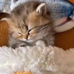 Лёна